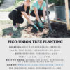 2/24 Pico Union Tree Planting Flyer